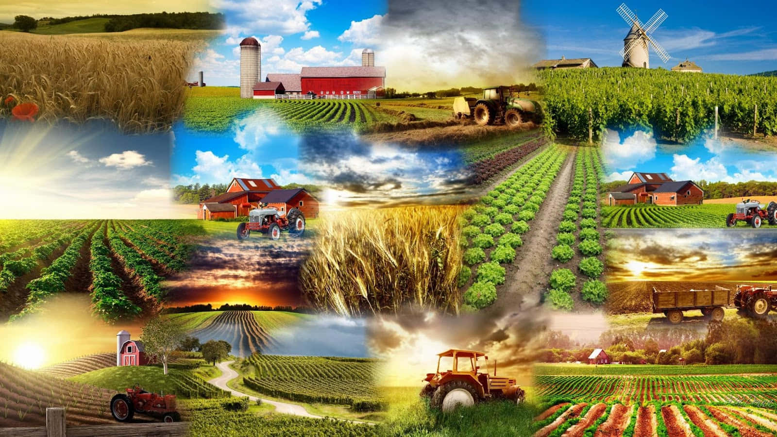 Global Agri-Trade