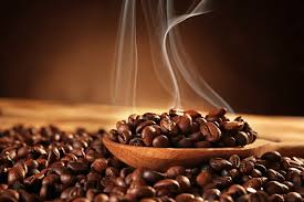 Premium Coffee Beans