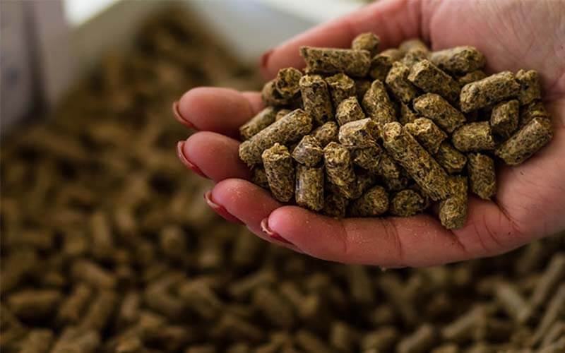 Feed Pellets