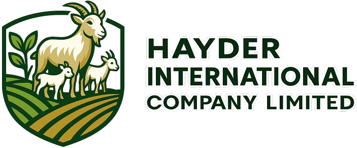 Hayder International Logo